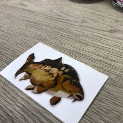 Fish On Tackle Store Specimen Carp Stickers