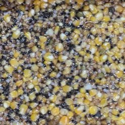 Fish On Tackle Store Fish On Monster Mix 3kg Specimen Carp