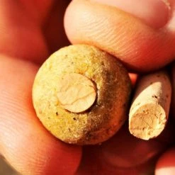 Fish On Tackle Store Specimen Carp Korda Spare Cork Sticks