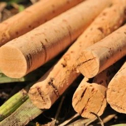 Fish On Tackle Store Specimen Carp Korda Spare Cork Sticks