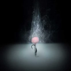 Fish On Tackle Store Specimen Carp Mainline Smart Liquid 250ML