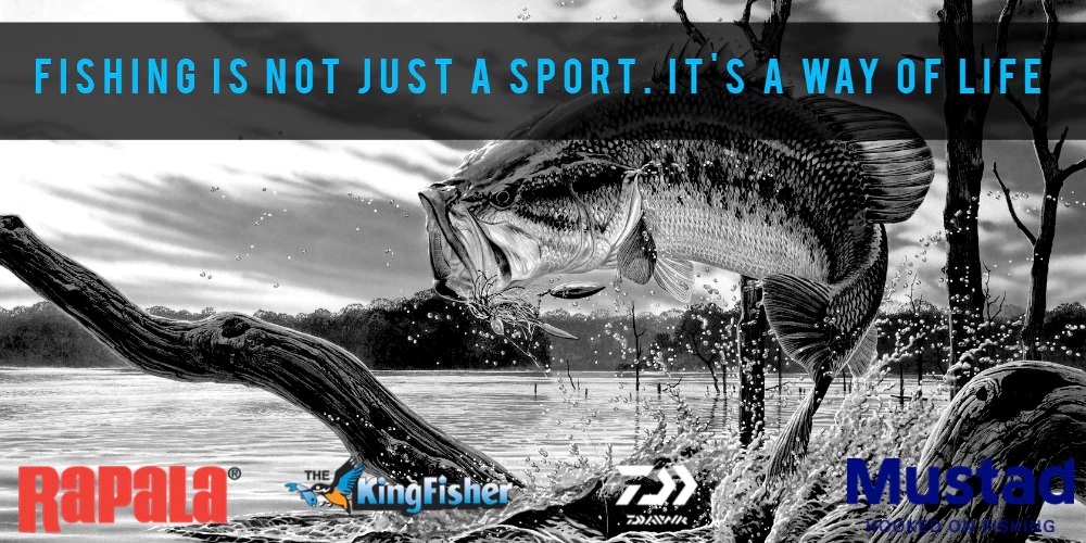 Fish On Tackle Store Sales -Fish On Tackle Store Sales rendered 3 88d40e82 8fa3 4b59 9241